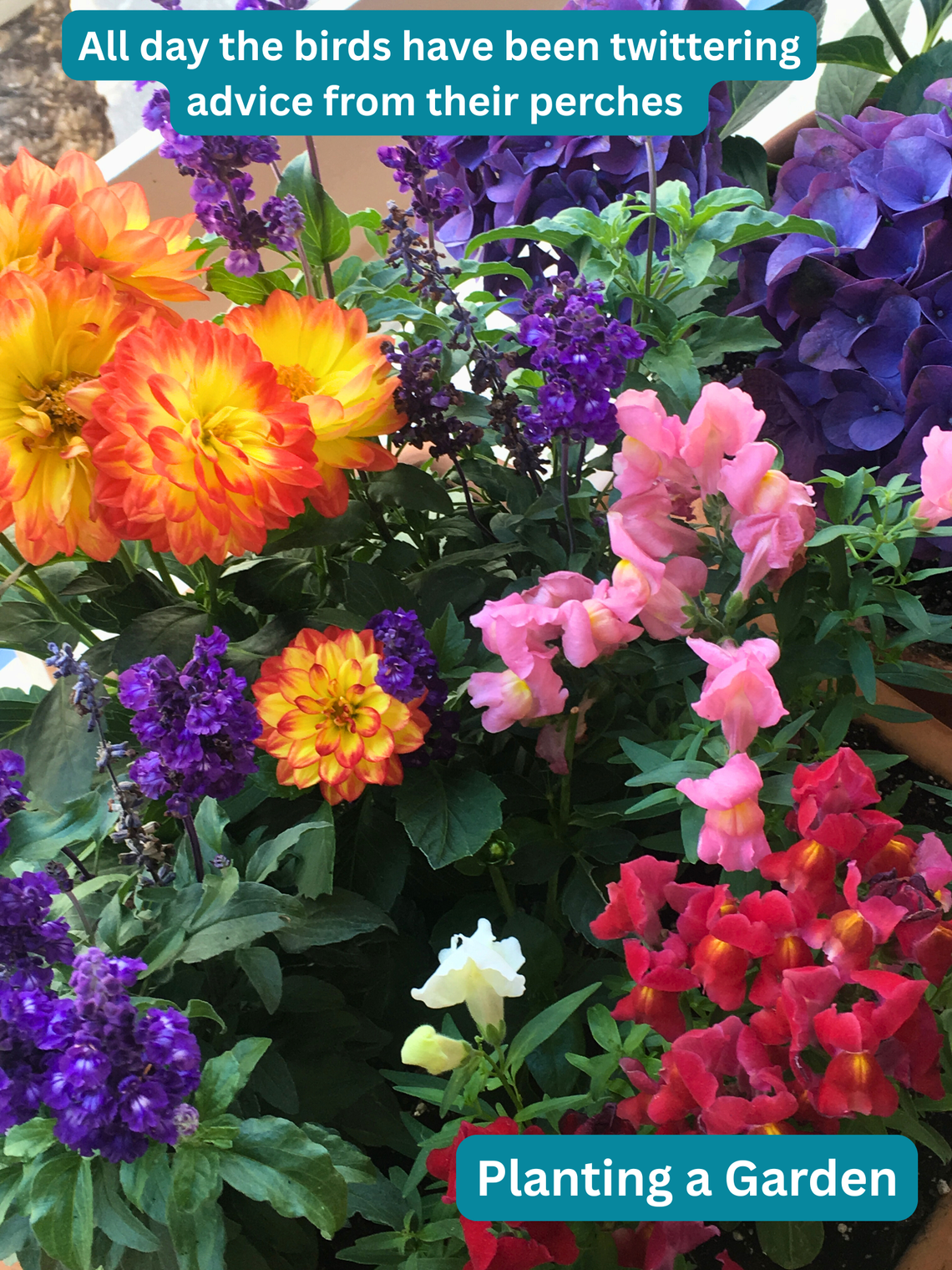Planting a Garden