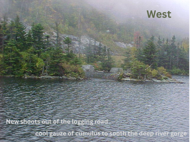 West