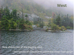 West
